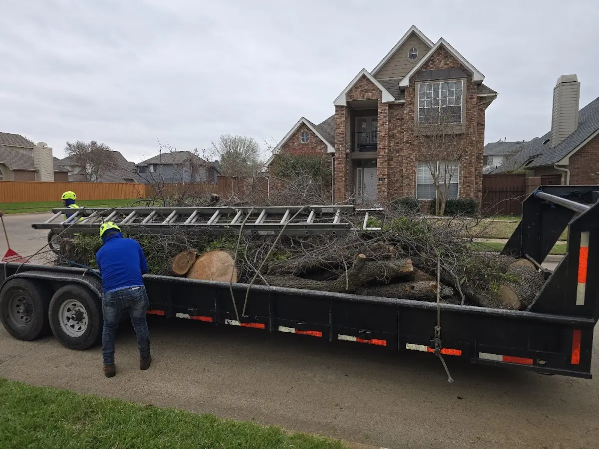 Expert Tree Fertilization with proper safety equipment in Pottsboro